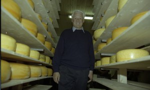 Посещение президентом РФ Борисом Ельциным, проводящим отпуск в Самарской области в пансионате «Волжский утес», фермерских хозяйств Ставропольского района, построенных с участием голландской фирмы «Себеко». На ферме у сыровара Анатолия Хрипкова