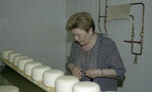 Посещение президентом РФ Борисом Ельциным, проводящим отпуск в Самарской области в пансионате «Волжский утес», фермерских хозяйств Ставропольского района, построенных с участием голландской фирмы «Себеко». Супруга президента РФ Наина Ельцина осматривает ф