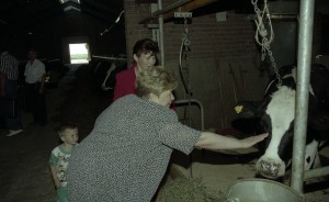 Посещение президентом РФ Борисом Ельциным, проводящим отпуск в Самарской области в пансионате «Волжский утес», фермерских хозяйств Ставропольского района, построенных с участием голландской фирмы «Себеко». Супруга президента РФ Наина Ельцина на ферме у А.