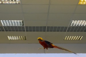 Фотокросс. Команда «Лютики». Тема: «Перпендикулярно идущий»