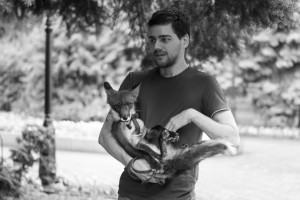 Дикая, но симпатичная. Участник фотокросса «Морковки Бразерс». Тема: «Отношение»