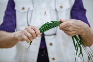 Мастер-класс по икебане