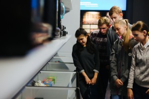 Интерактивное занятие «Я голосую ЗА!»