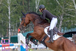 Кубок Ельцина по конкуру