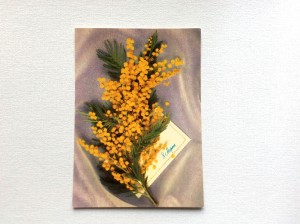 Открытка с 8 Марта с мимозой 1991 года, издание Минсвязи СССР, фотография Н. Агладзе / Марина Соколовская