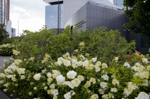 Фасад Ельцин Центра в июле 2020