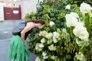 Сад трав: из прошлого в будущее