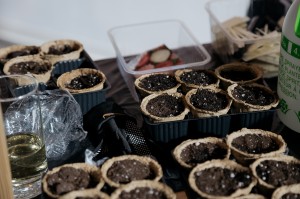 Открытие выставки «Сады Рейшера»