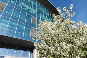 Летний фасад Ельцин Центра