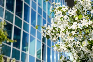 Летний фасад Ельцин Центра