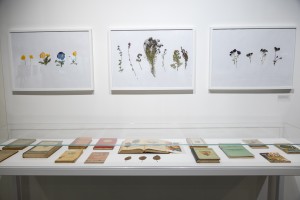 Выставка «Сады Рейшера»