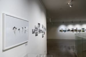 Выставка «Сады Рейшера»