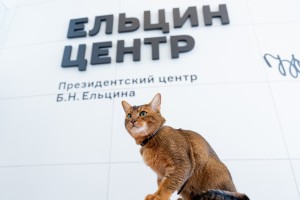 Кот и пёс в Ельцин Центре