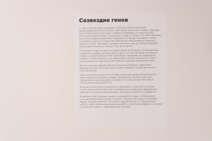 Выставка Алисы Горшениной «Пугало стояло в центре вспаханного поля»