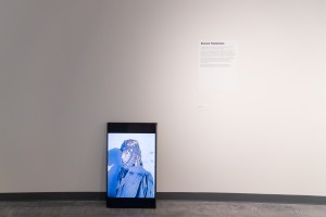 Выставка Алисы Горшениной «Пугало стояло в центре вспаханного поля»