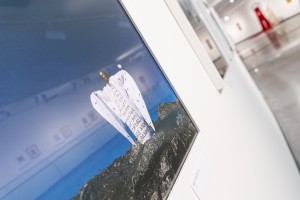 Выставка Алисы Горшениной «Пугало стояло в центре вспаханного поля»