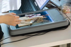 Мастер-класс по сканографии