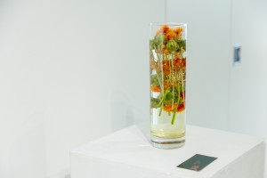 Открытие выставки «Принцесса Грёза и демоны с мониторов»