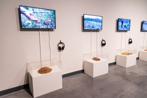 Открытие выставки «Сечение. По обе стороны Уральских гор»