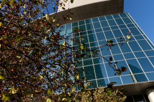 Осенний фасад Ельцин Центра