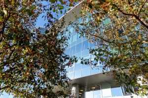 Осенний фасад Ельцин Центра