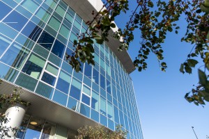 Осенний фасад Ельцин Центра