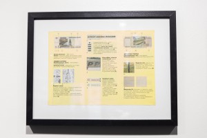 Кураторская экскурсия по выставке «Эволюция рубля»