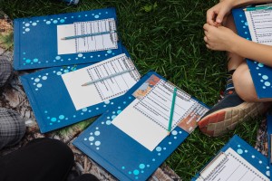 Ботанический скетчинг и экскурсия в Сад трав