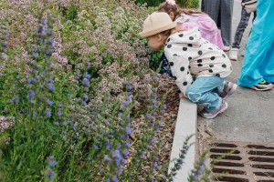 Ботанический скетчинг и экскурсия в Сад трав