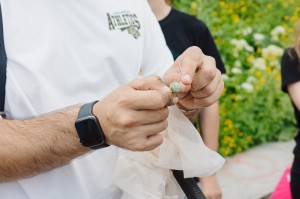 Сад трав. Илья Гомыранов. Многоногие соседи. Путешествие в микромир