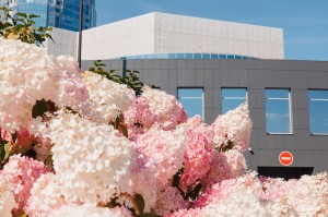 Фасад Ельцин Центра. Сентябрь 2024