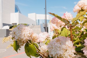 Фасад Ельцин Центра. Сентябрь 2024