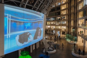 Открытие выставки «Двадцать один длинный, один короткий»