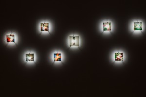 Экспозиция выставки «Владимир Куприянов. Возвращение времени»