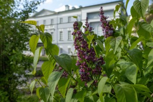 Усадьба Долгоруковых-Бобринских на Малой Никитской в Москве