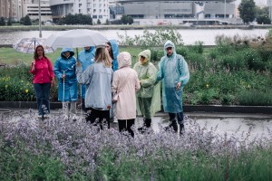 Свобода творчества в Саду трав. Занятие для незрячих и слабовидящих посетителей