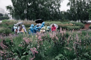 Свобода творчества в Саду трав. Занятие для незрячих и слабовидящих посетителей