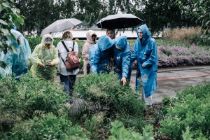 Свобода творчества в Саду трав. Занятие для незрячих и слабовидящих посетителей