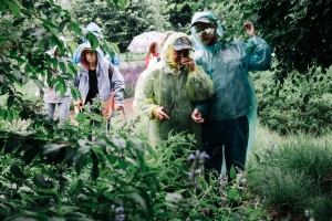 Свобода творчества в Саду трав. Занятие для незрячих и слабовидящих посетителей