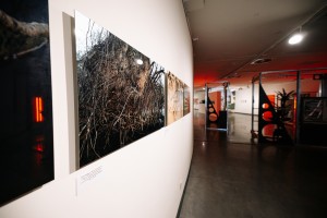 Пресс-тур с кураторами по выставке «Я последняя пятилетка. Новое искусство Казани»