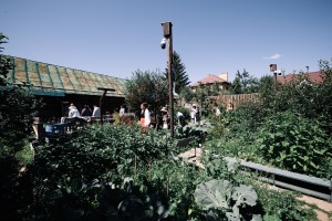 Экскурсия «От музейной витрины до сысертской рябины»