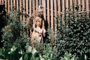 Экскурсия «От музейной витрины до сысертской рябины»