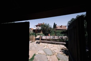 Экскурсия «От музейной витрины до сысертской рябины»