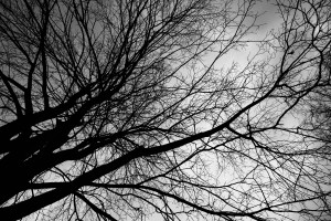 Усадьба Долгоруковых-Бобринских. Фасады. Октябрь 2025