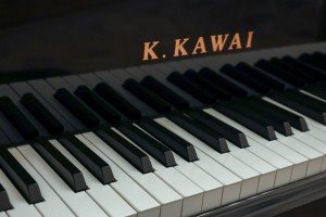 Концерт пианиста Ильи Папояна «Русские гении»