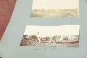 Фотоальбом из архива Бобринских. Передача архива А.А. Бобринского Президентскому центру Б.Н. Ельцина