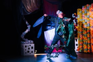 Премьера спектакля «Сказка о сером Льве»