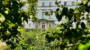 Усадьба. Клумбы с розами, чубушником, котовником