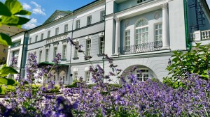 Усадьба. Клумбы с розами, чубушником, котовником