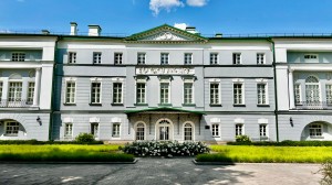 Усадьба. Клумбы с розами, чубушником, котовником